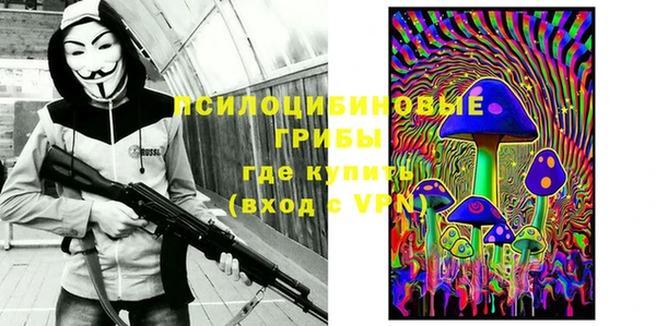 ешки Ладушкин