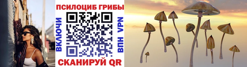 Галлюциногенные грибы Psilocybine cubensis  Купить  Дмитров 